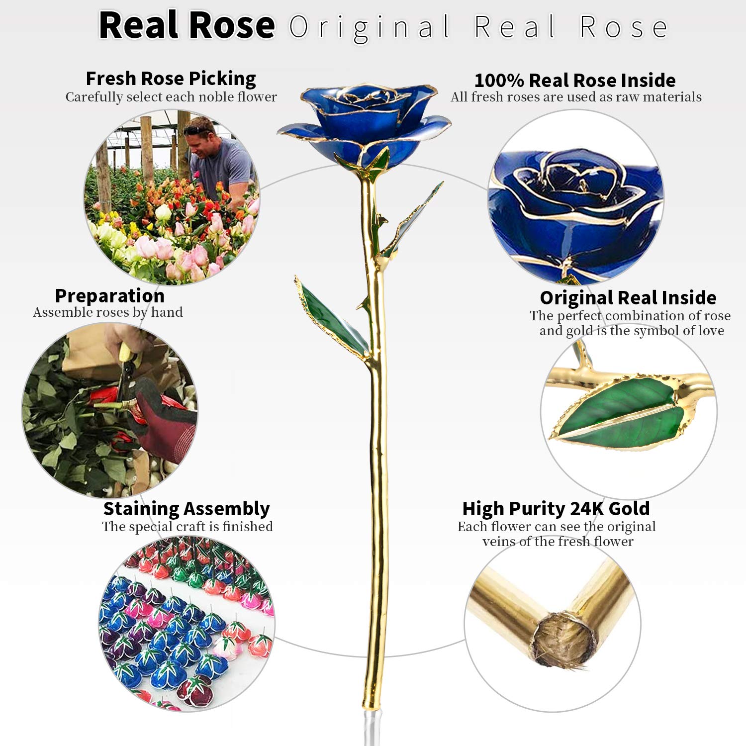 24K Gold Plated Real Fresh Long Stem Rose in Blue - Luxurious Birthday Gift for Her with Display Stand | Romantic Anniversary, Valentine's Day & Special Occasion Present