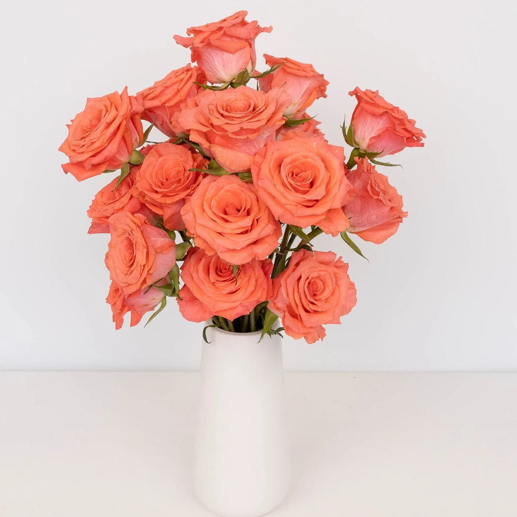 Hot Coral Pink Rose Bouquet - Fresh Cut Flowers for Wedding, Anniversary & Valentine's Day - Perfect Romantic Gift for Her