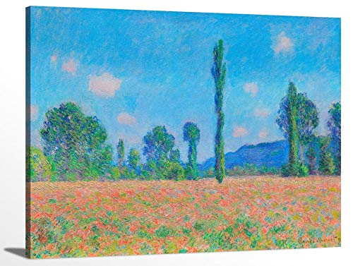 Poppy Field (Giverny)