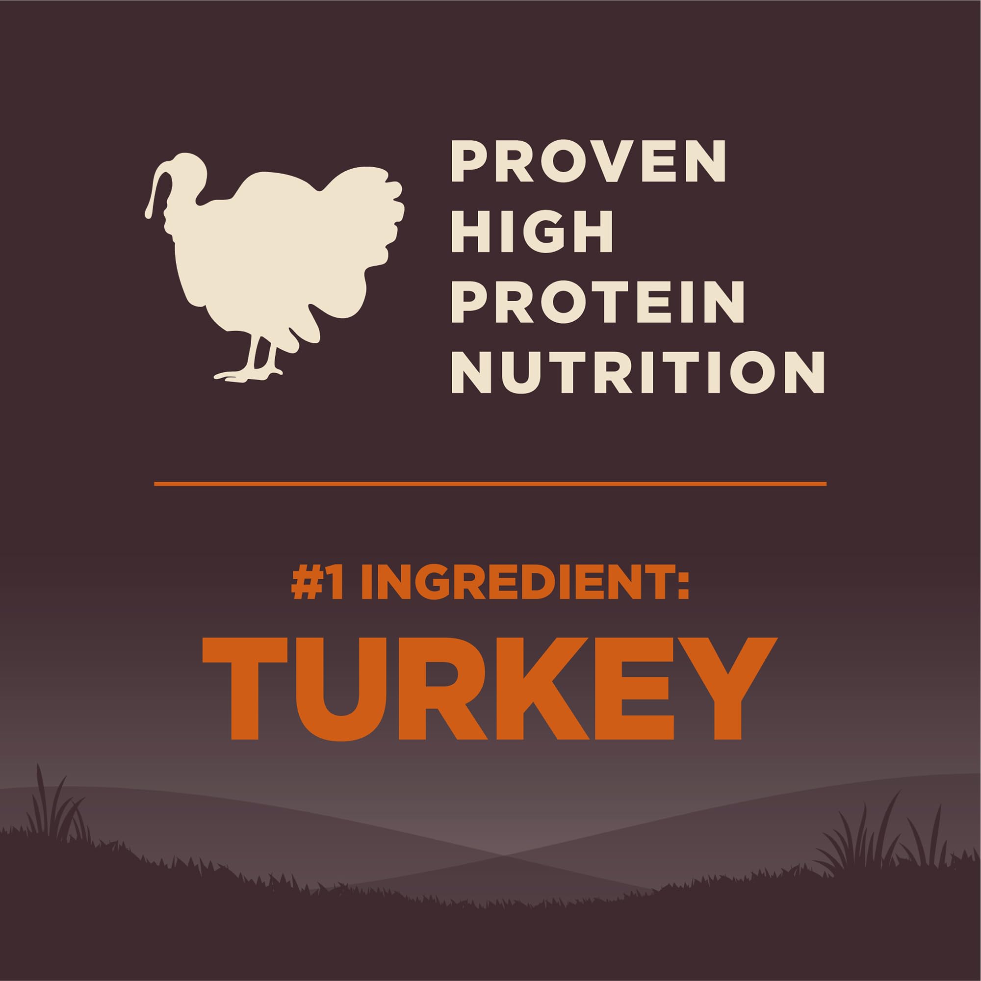 Wellness CORE Grain-Free Small Breed Dry Dog Food - High Protein Natural Recipe with Turkey & Chicken (4lb Bag) - Perfect for Active Small Dogs & Puppies