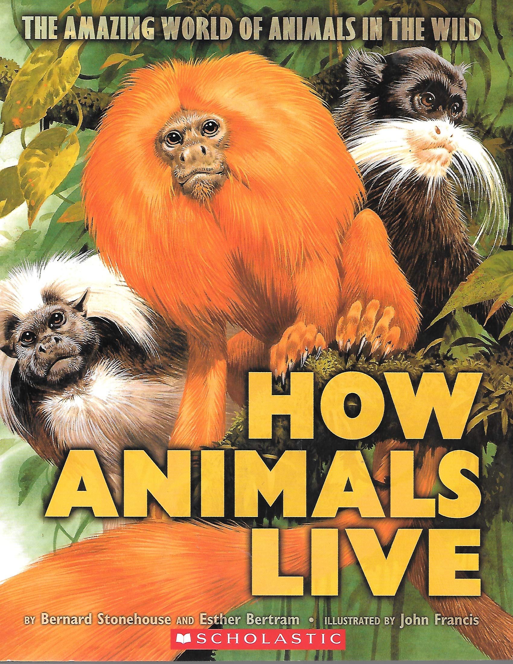 How Animals Live: The Amazing World of Wild Animals - Educational Book for Kids, Nature Exploration & Wildlife Learning