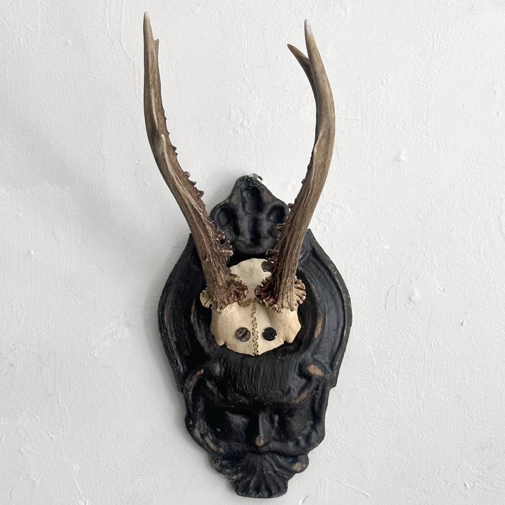 Handmade Black Forest Deer Antlers on Carved Wood Plaque - Rustic Home Decor for Cabin, Lodge & Hunting Cabin Wall Art (#556)