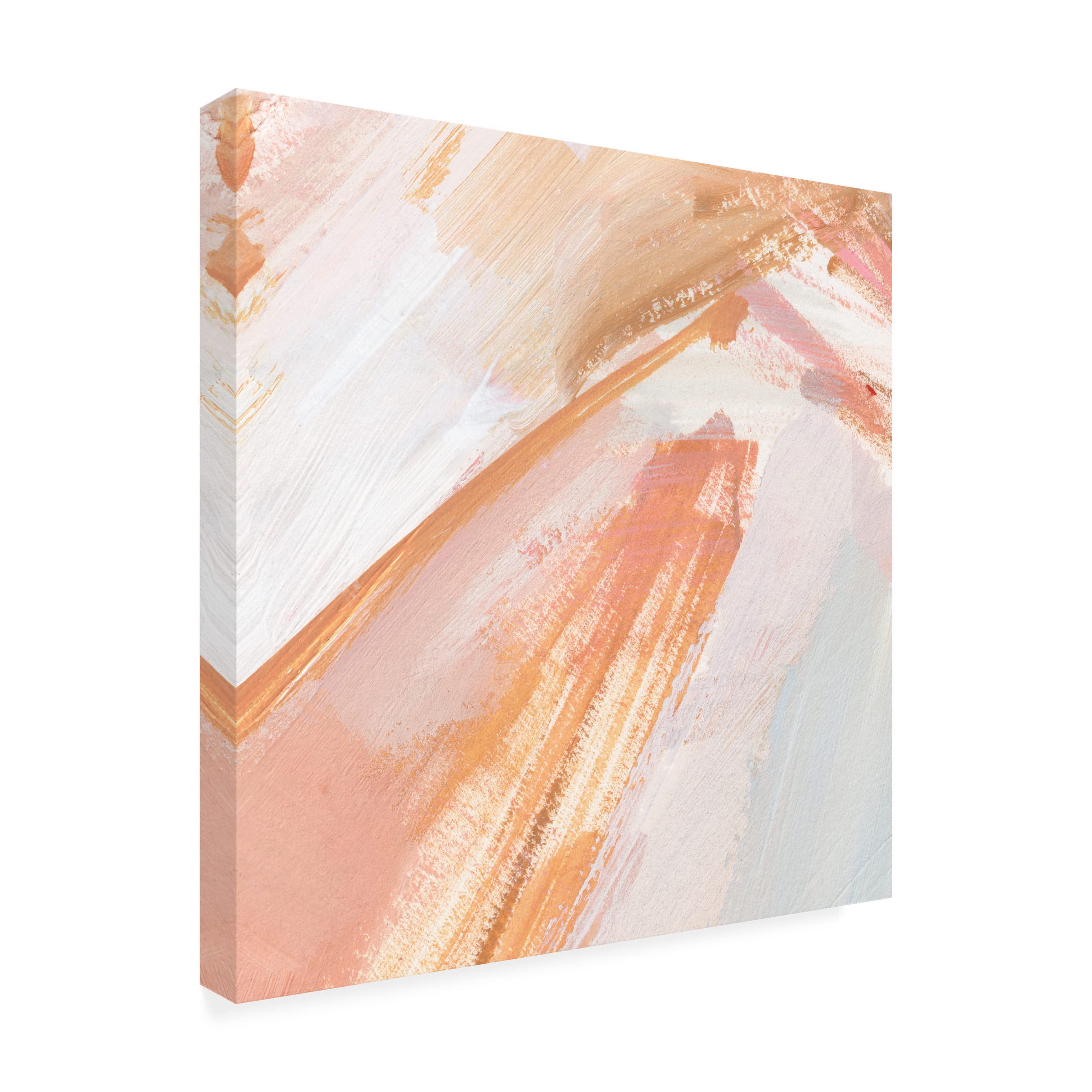 Annie Warren Pink Vanilla III Canvas Wall Art Print - Modern Abstract Floral Painting for Living Room, Bedroom & Office Decor | Trademark Fine Art Collection