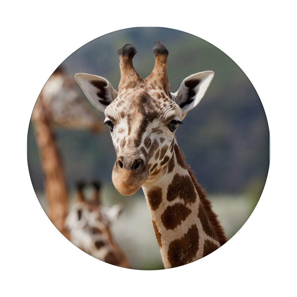 Adorable Cute Giraffe Plush Toy - Soft Stuffed Animal for Kids, Nursery Decor, Baby Shower Gift & Cuddly Companion for Playtime & Bedtime