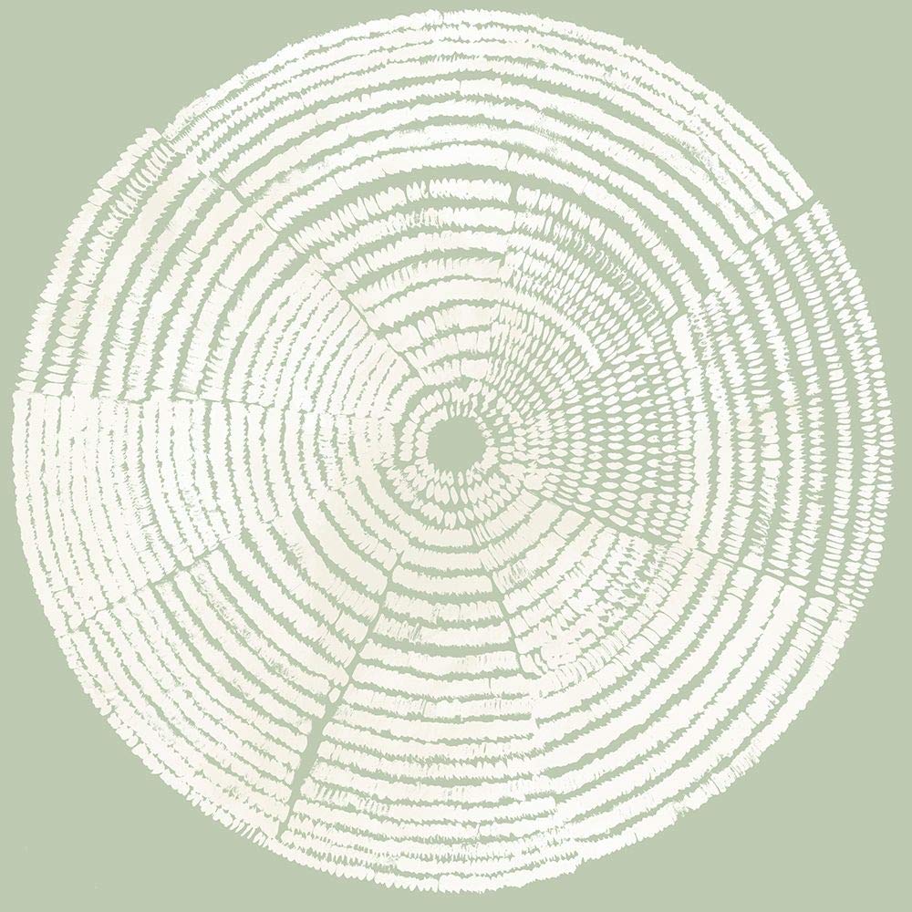Tom Reeves Circles Of Life I - 12x12 Inch Art Print Poster for Home & Office Wall Decor