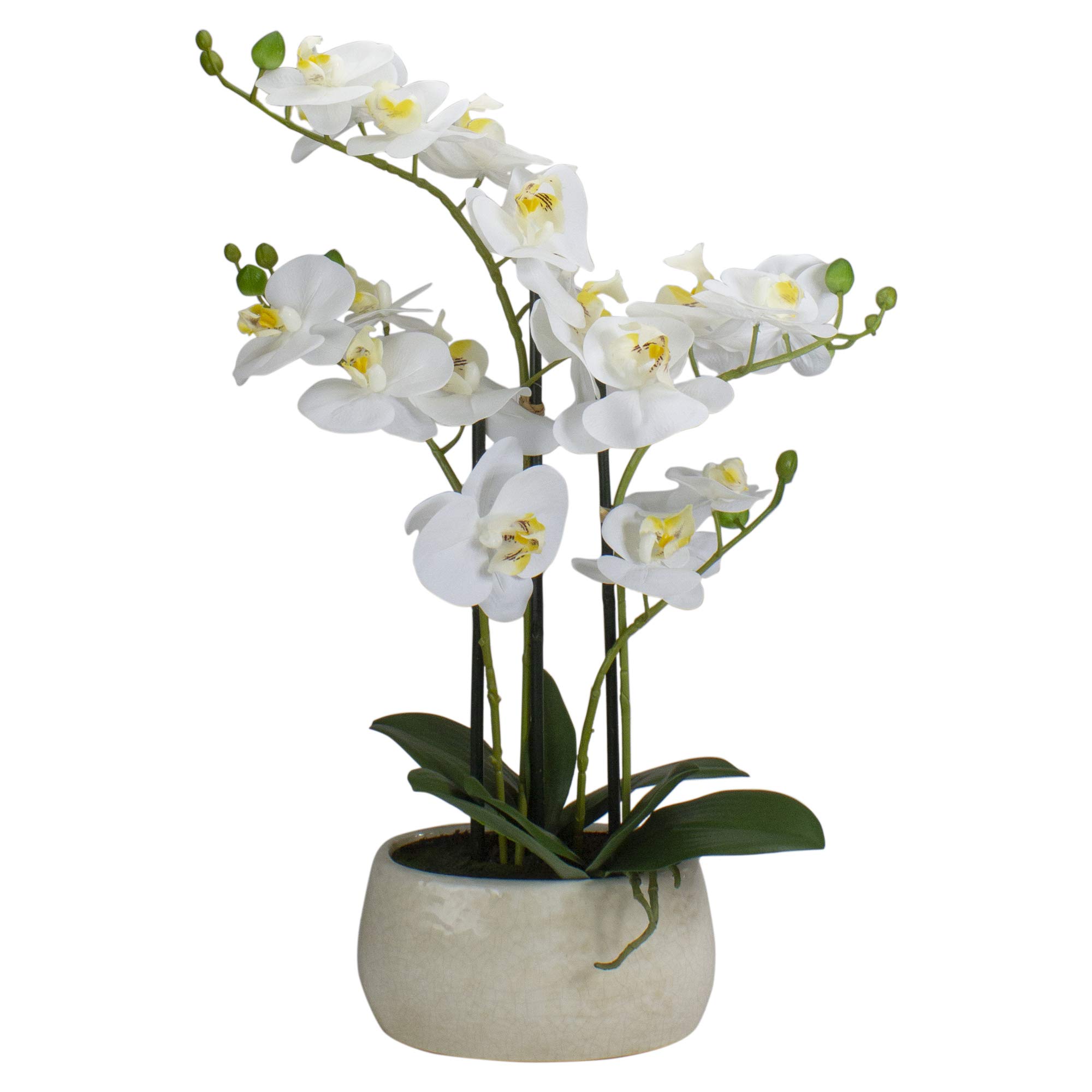 Premium Real Touch™ Artificial Orchid Plant in White Oval Pot - 22