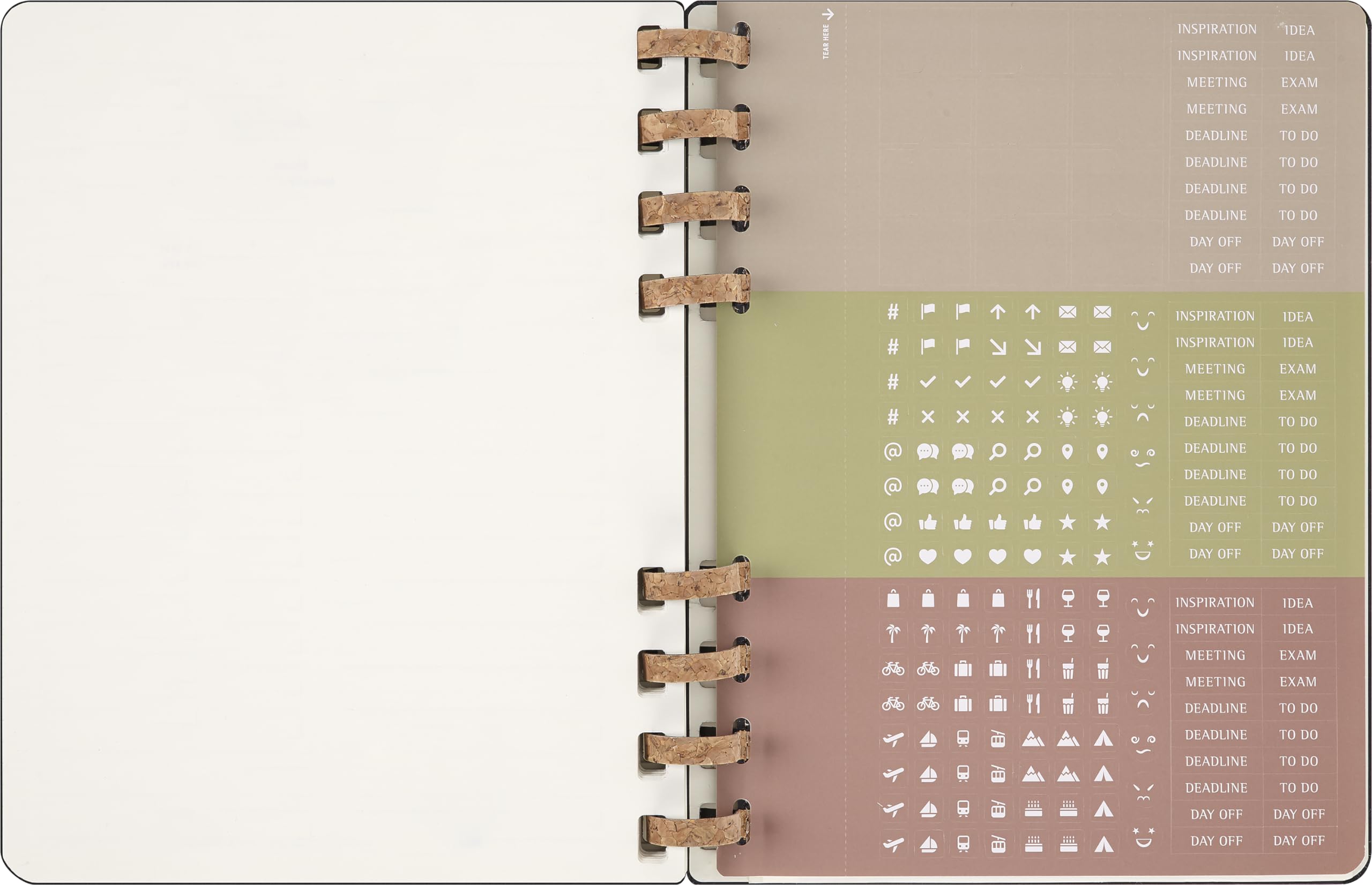 Moleskine 2025 Weekly & Monthly Planner - 12 Month Spiral Notebook with Hard Cover & Elastic Closure - Extra Large 20.4x25.2 cm Black - Perfect for Business, School & Personal Organization