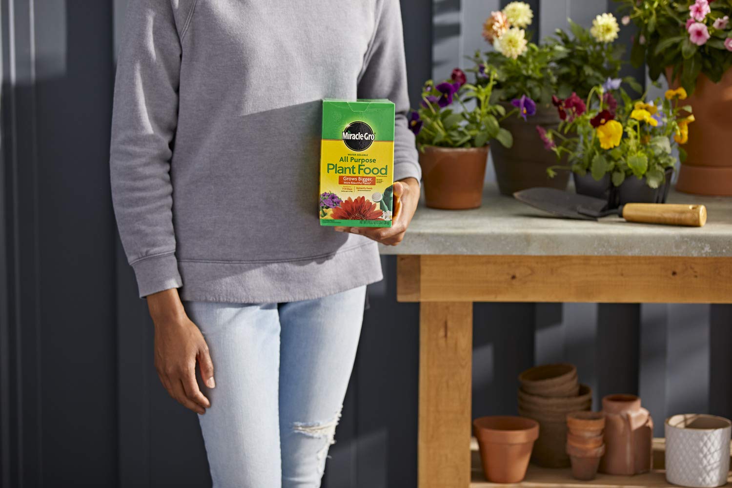 Miracle-Gro All Purpose Plant Food Fertilizer - 6 Pack (3 lb Each) for Indoor & Outdoor Plants, Vegetables, Flowers | Perfect for Gardening, Lawn Care, and Houseplants