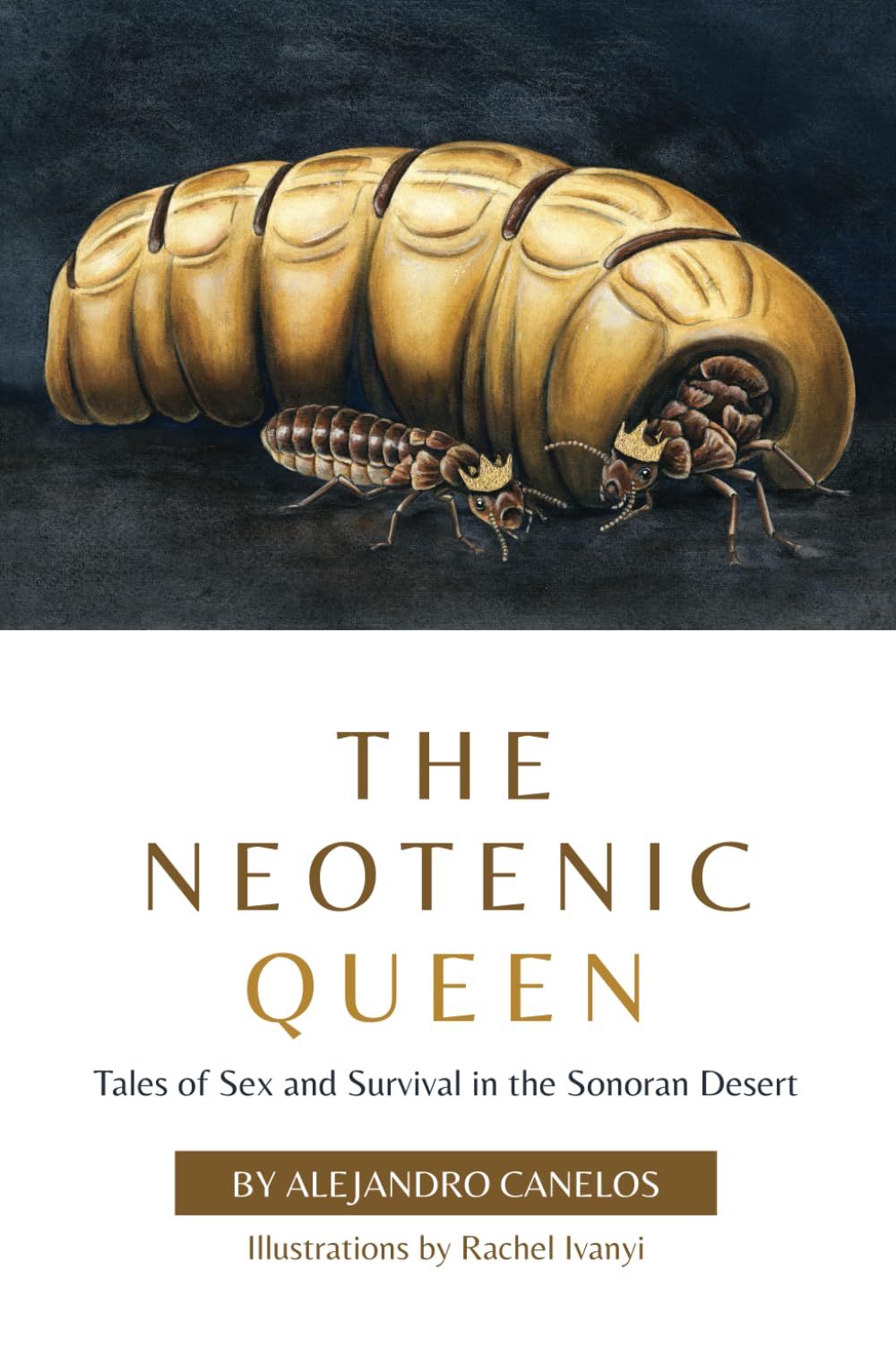 The Neotenic Queen: Survival and Mating Stories in the Sonoran Desert - Perfect for Nature Enthusiasts and Desert Adventure Lovers
