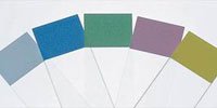 Fisher Scientific 1255018 Colorfrost Plus Slides - Green, 144 Slides per Box | Laboratory Microscope Slides for Biology & Pathology Studies