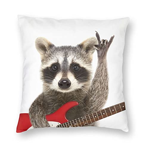Rock Raccoon