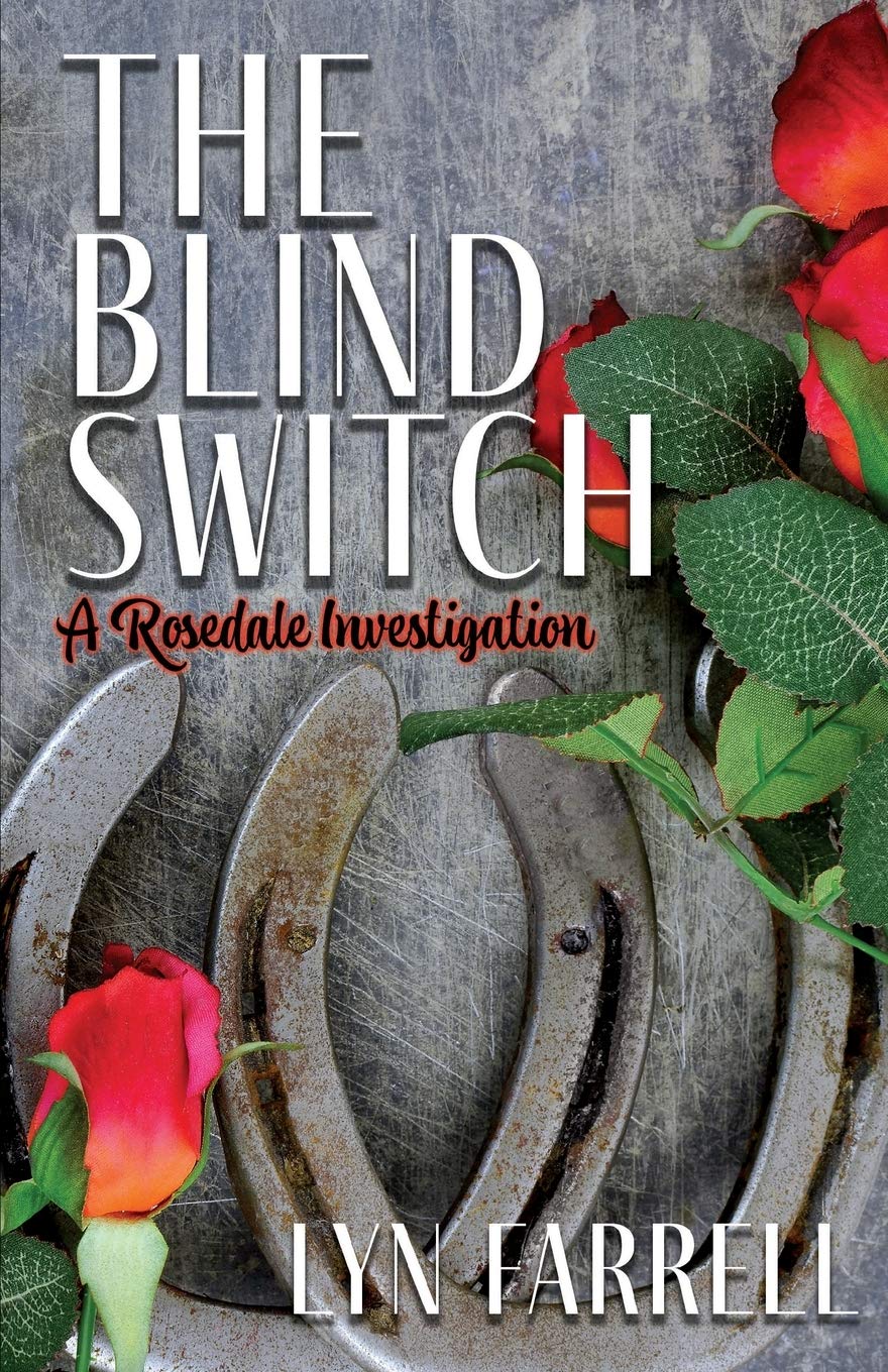 Blind Switch - Easy-to-Install Light Switch Cover for Home & Office | Perfect for Privacy, Security and Room Dividers