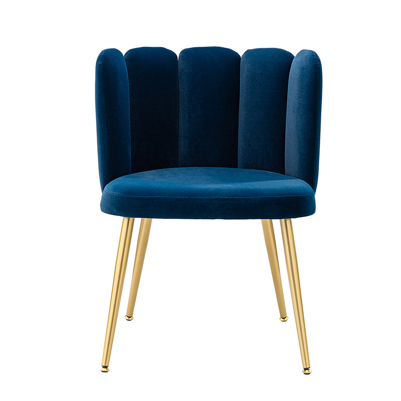 Elodia Side Chair - Modern Accent Chair for Dining Room, Living Room & Office - Sturdy Wooden Frame with Upholstered Seat - Perfect for Home Decor & Small Spaces