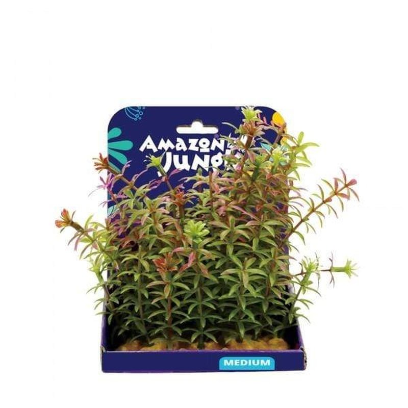 Amazon Jungle Red Anacharis Live Aquarium Plant - 15cm Tall for Fish Tanks, Ponds & Aquatic Decor | Perfect for Freshwater Aquascaping & Natural Habitat Setup