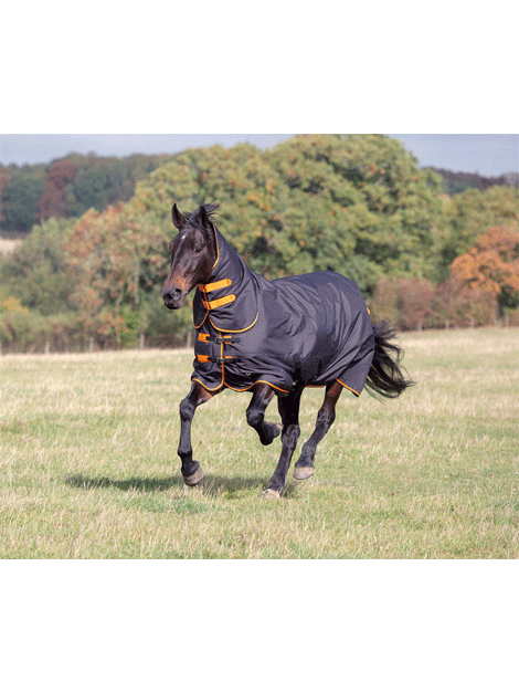 Shires Tempest Medium Weight Combo Turnout Rug for Horses - Waterproof & Breathable Winter Horse Blanket - Ideal for Stable, Pasture & Riding in Cold Weather