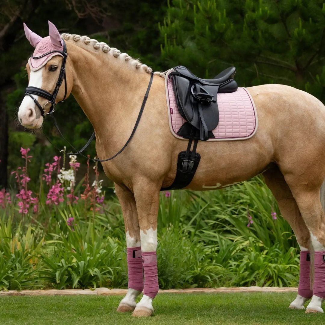 Premium LeMieux Suede Dressage Square Saddle Pad for Horses - Comfortable & Breathable Riding Pad for Training & Competition - Perfect for English Equestrian Riders