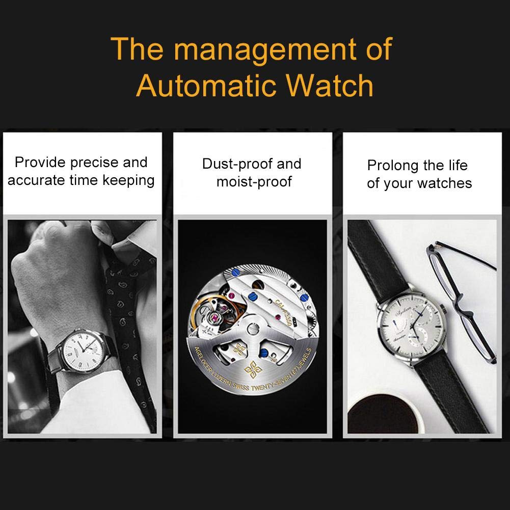 6 Grids Automatic Watch Winder Box - Quiet Motor with Multiple Rotation Settings, Brass Finish | Premium Watch Storage Case for Rolex, Omega & Luxury Watches | Perfect for Home, Office & Travel Use