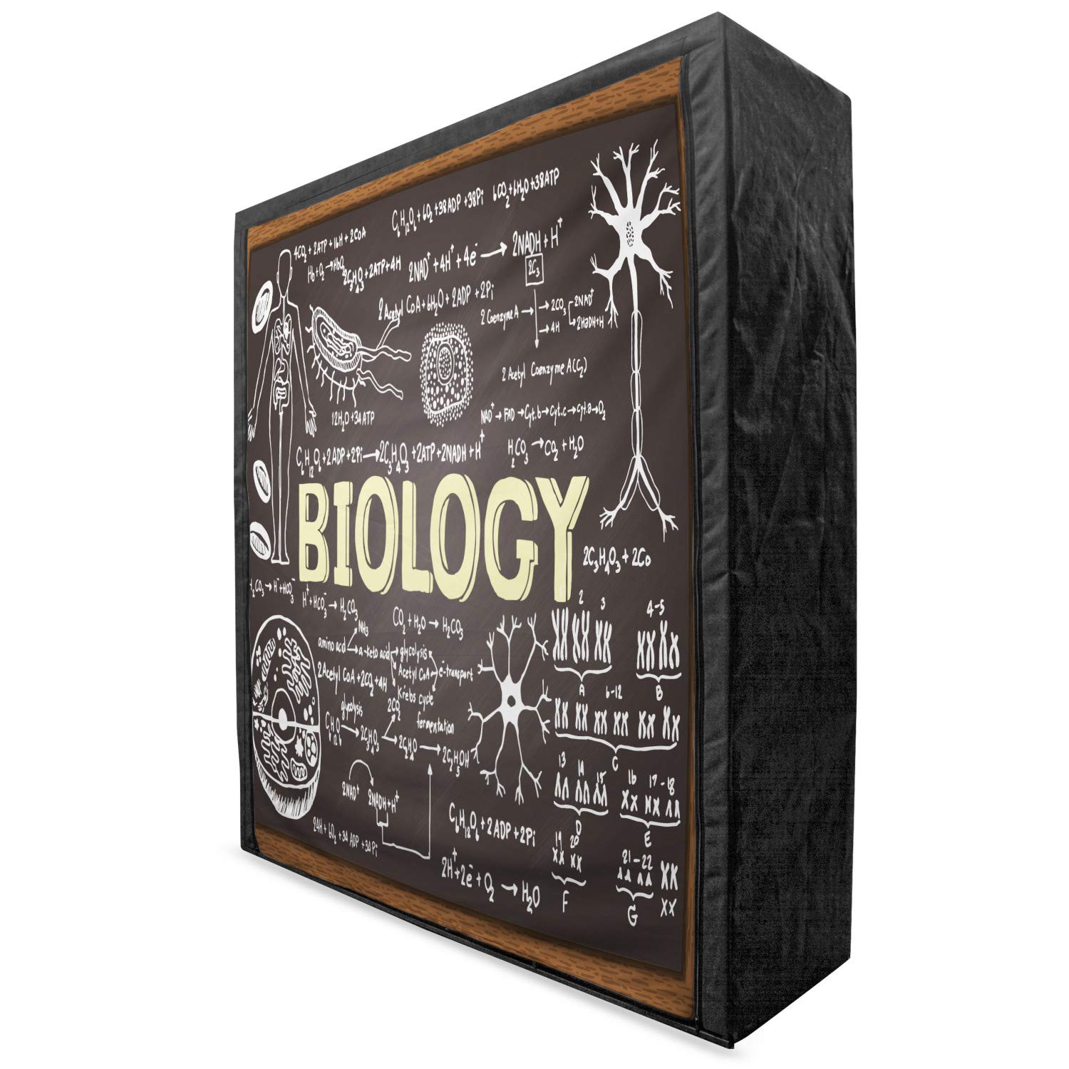 Ambesonne Science Themed Portable Fabric Wardrobe - Black Chalkboard Biology Design with Handwritten Elements, 59