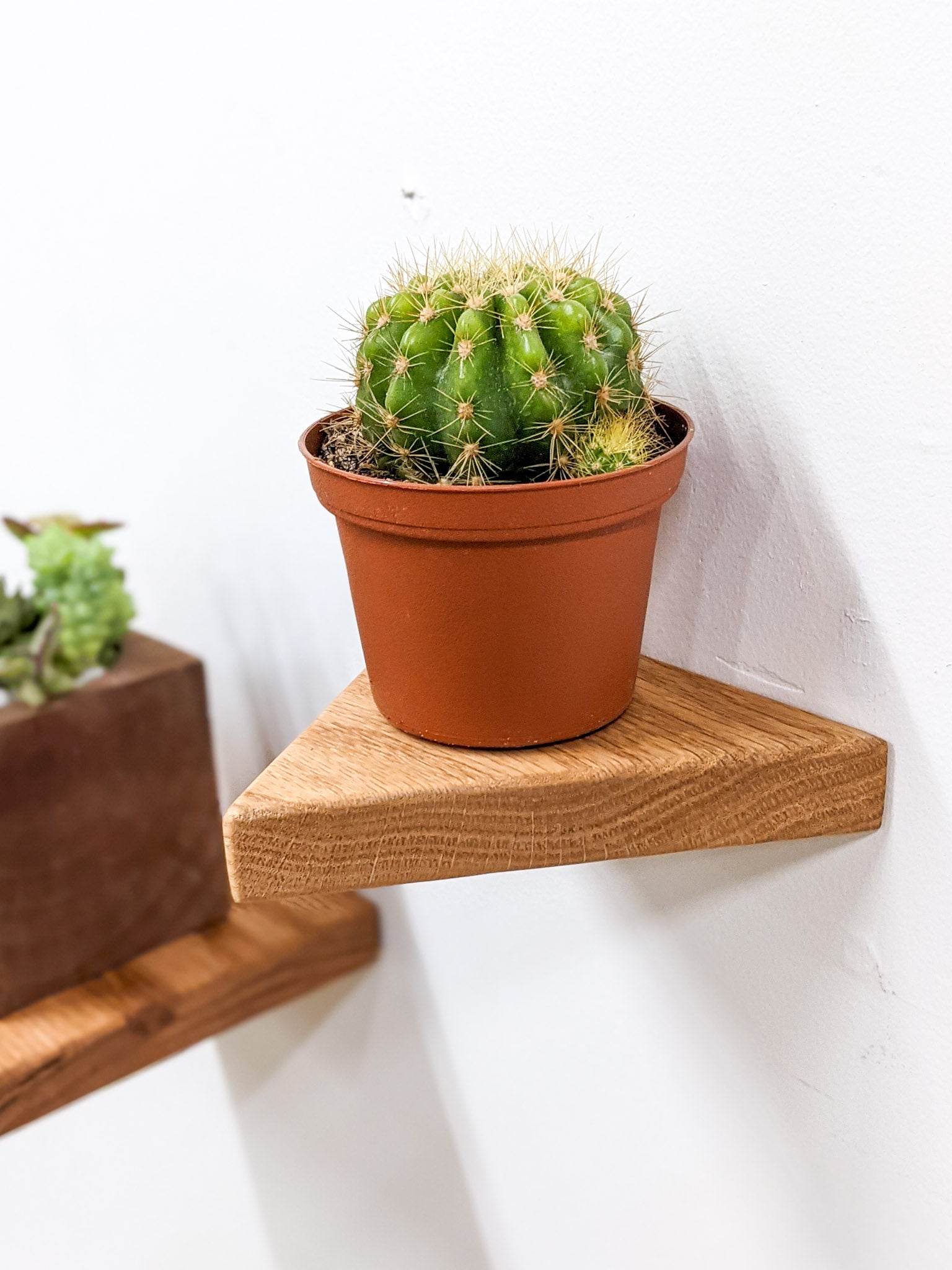 Small Floating Shelf Set - Wall Mounted Shelves for Bathroom, Kitchen & Living Room - Minimalist Home Decor & Storage Solution