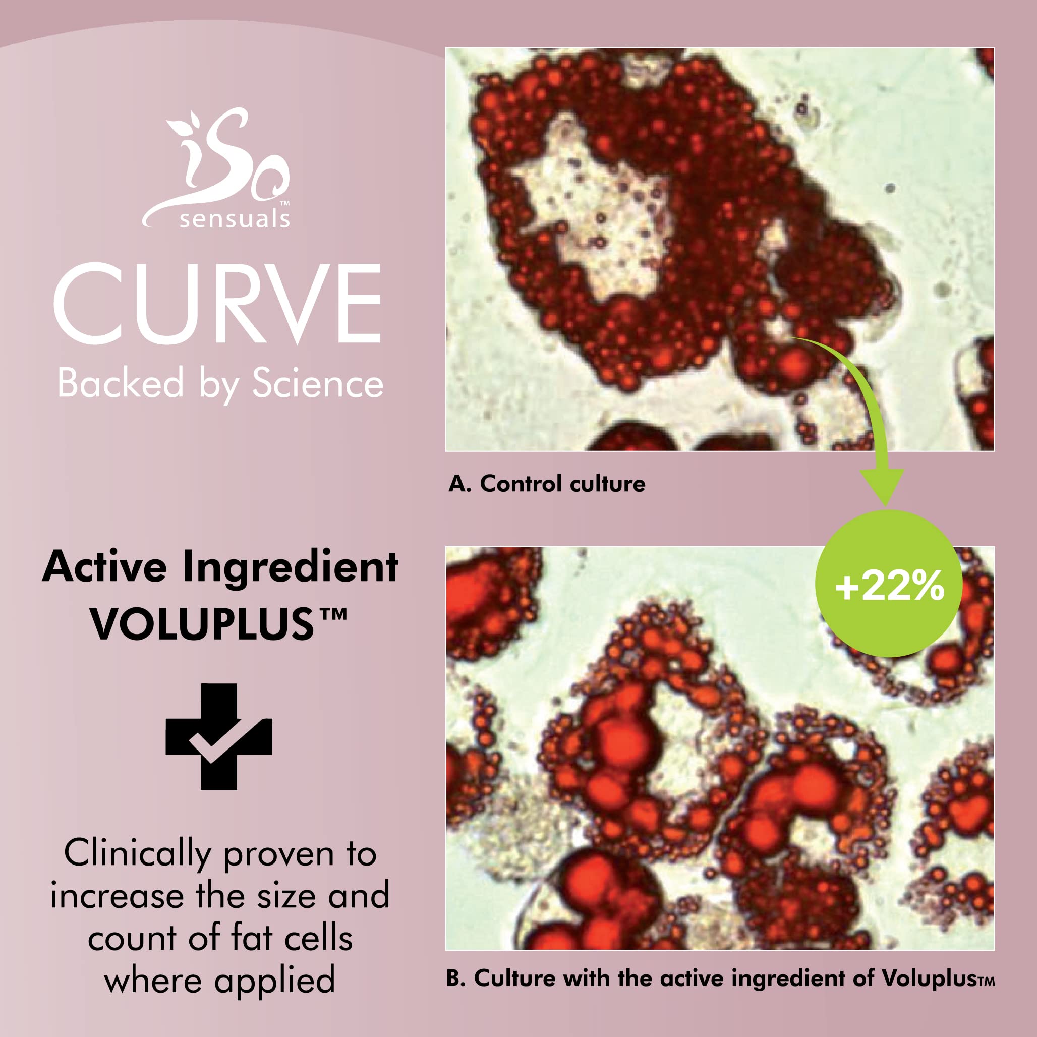 Curve Butt Enhancement Cream - 6 Pack for Firming & Lifting - Natural Booty Enlargement Serum for Women - Perfect for Gym, Date Night & Body Confidence Boost