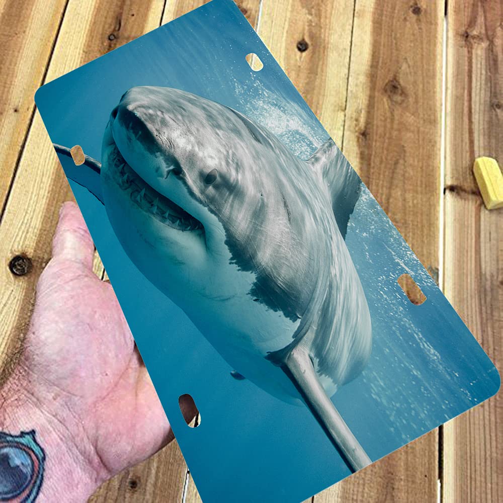Wondertify Shark Smiling Swimming Blue Ocean Novelty Metal Car License Plate 12