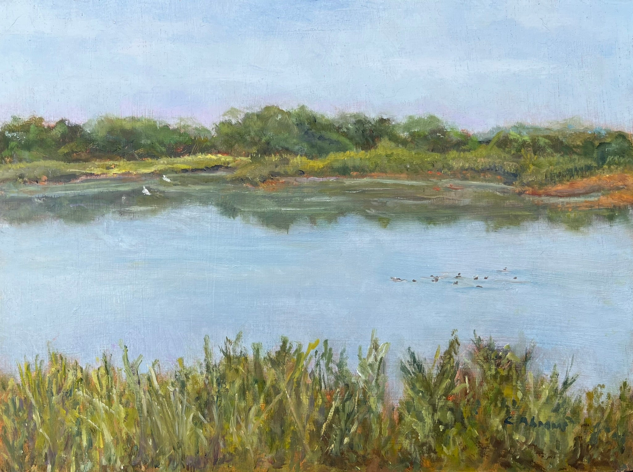 Celia Abrams: Bird Retreat in Cape May - Perfect for Birdwatching and Nature Getaways