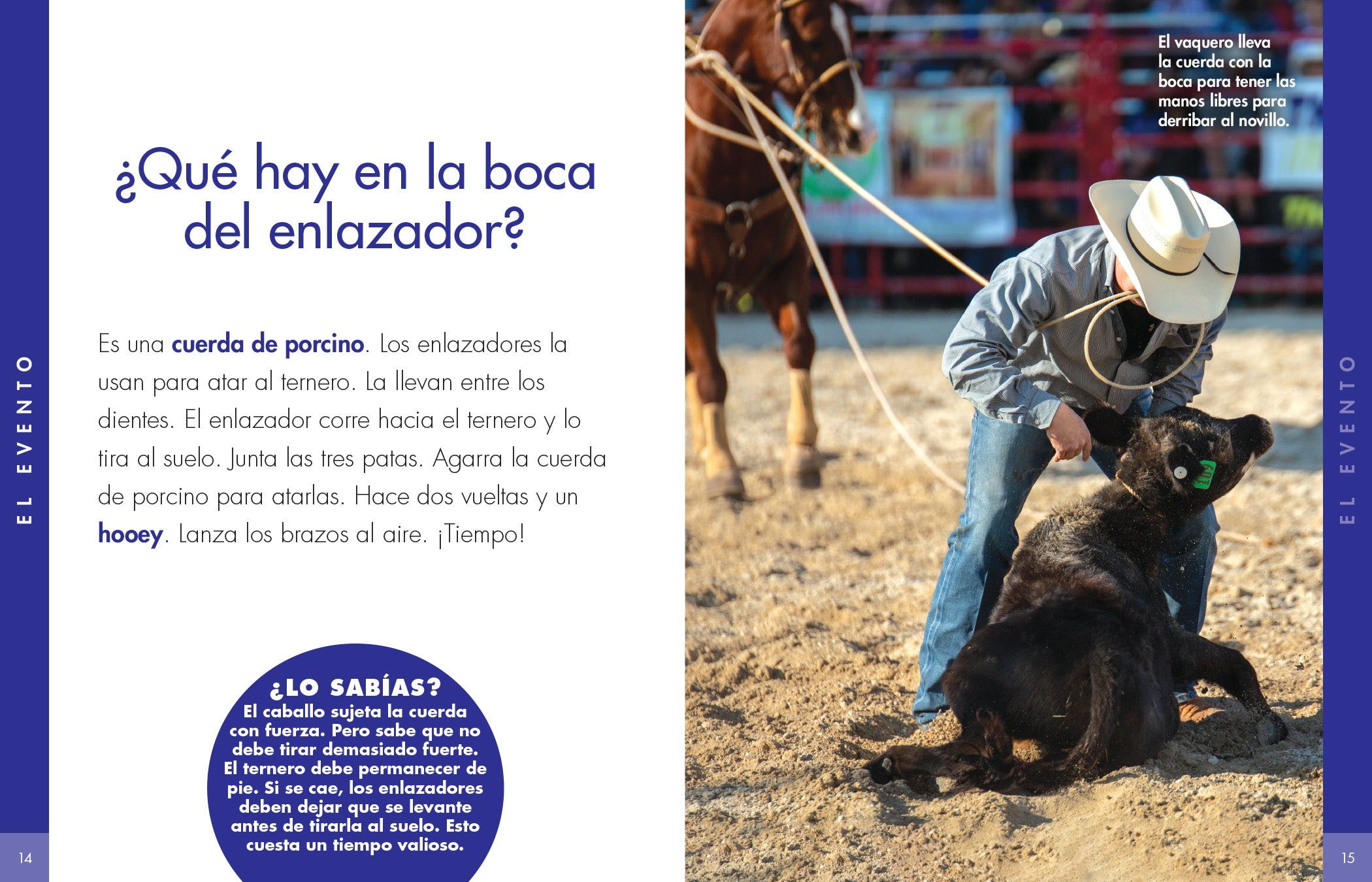 Bull Rope for Rodeo & Bull Riding - Durable & High-Quality Bull Tying Rope for Ranch, Rodeo Events, and Livestock Handling
