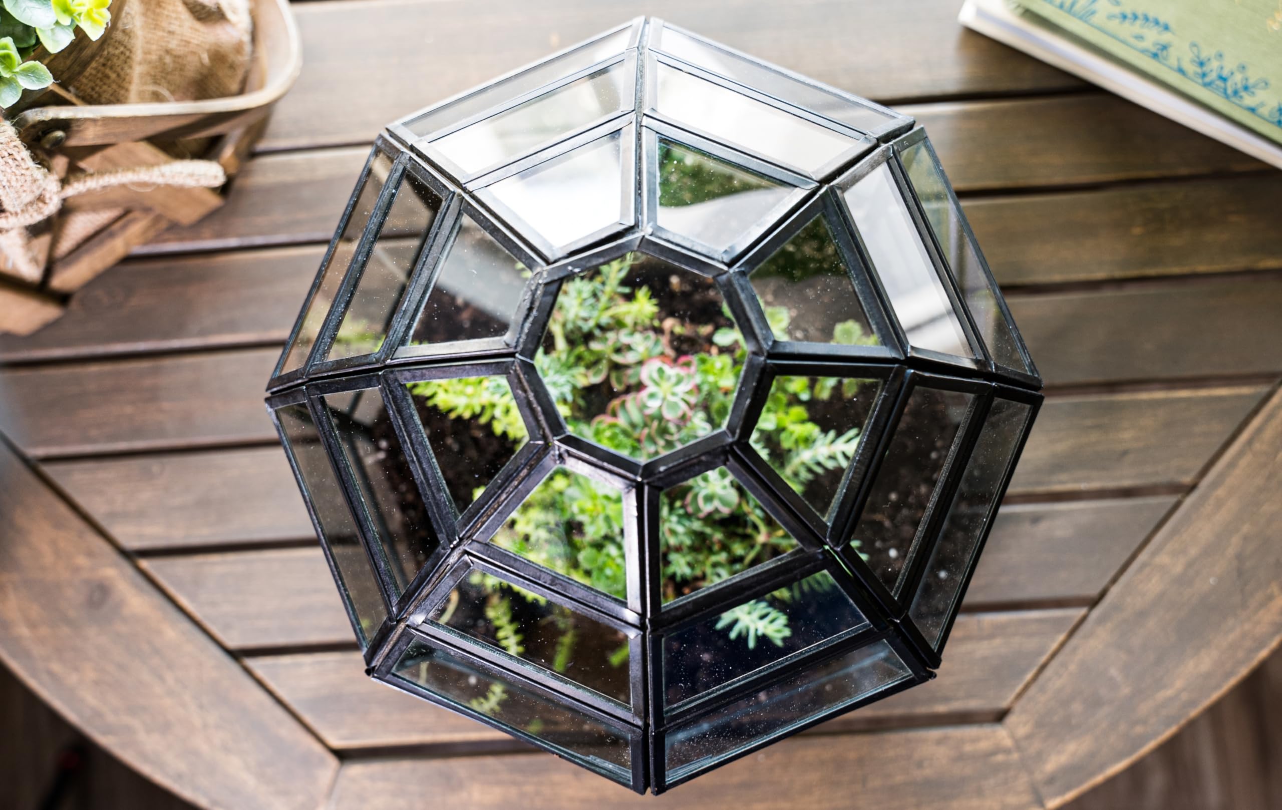 Handmade Large Glass Terrarium for Birds & Plants - 10