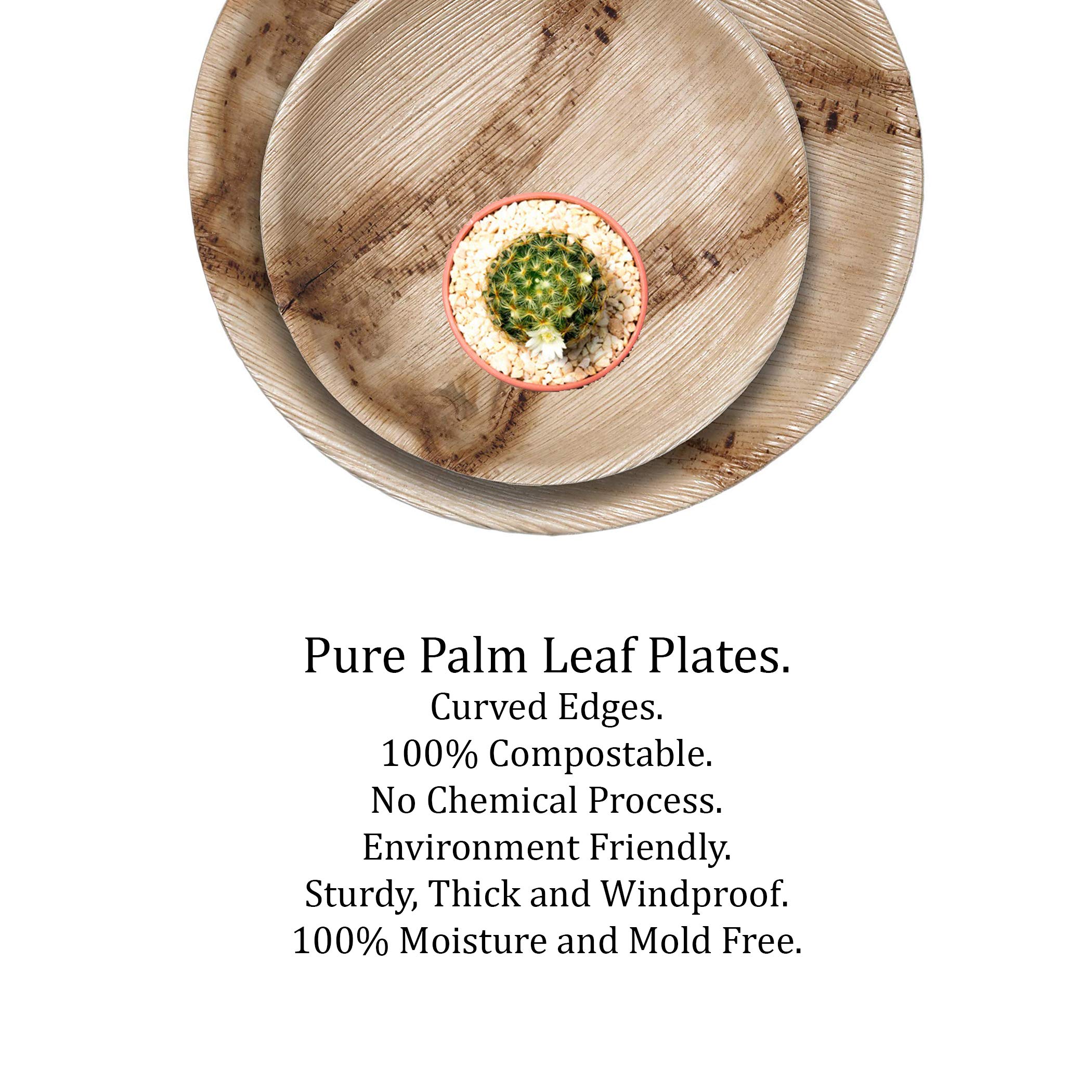 RAJRANG 50-Pack Heavy Duty Round Palm Leaf Plates - Eco-Friendly, Biodegradable & Compostable Disposable Dinnerware for Weddings, Parties, Picnics & Outdoor Events - Sustainable Alternative to Plastic Plates