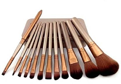 Premium 12-Piece Makeup Brush Set with Silver Storage Case - Soft Bristles for Foundation, Blending, Contouring & More - Perfect for Professional Artists & Home Makeup Kits
