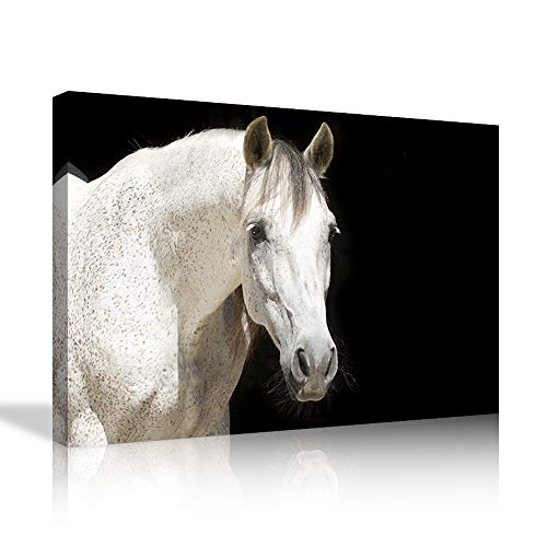 Animal wall art 21