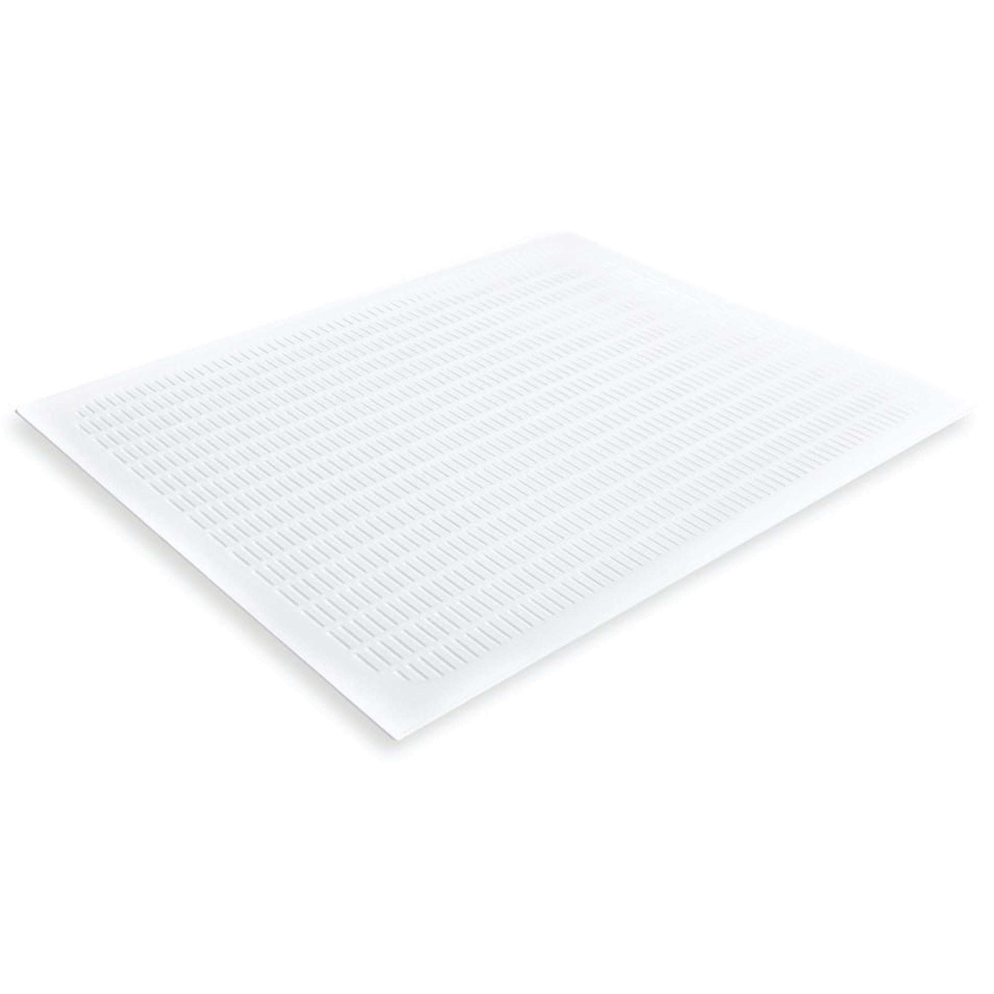 10x Frame Queen Bee Excluder for 8 Frame Hives - Durable Plastic 51x36cm Beehive Grill Trapper - Perfect for Beekeeping & Honey Production