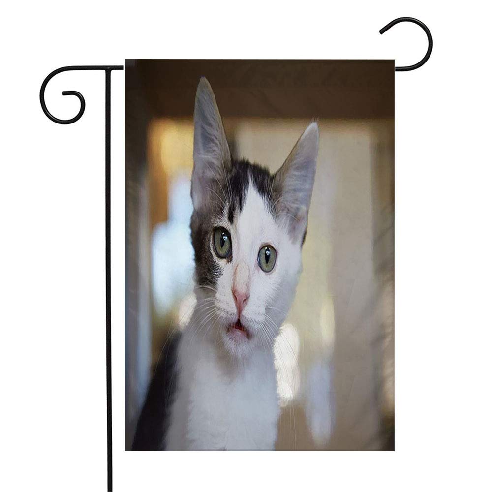Adorable Gray & White Tabby Kitten Welcome Garden Flag - 12x18 Inch Pet Adoption Themed Outdoor Decor for Patio, Lawn & Home - Perfect Gift for Cat Lovers & Animal Rescue Supporters (Ideal for Spring Decor, Front Yard Displays & Animal Shelter Fundraisers)