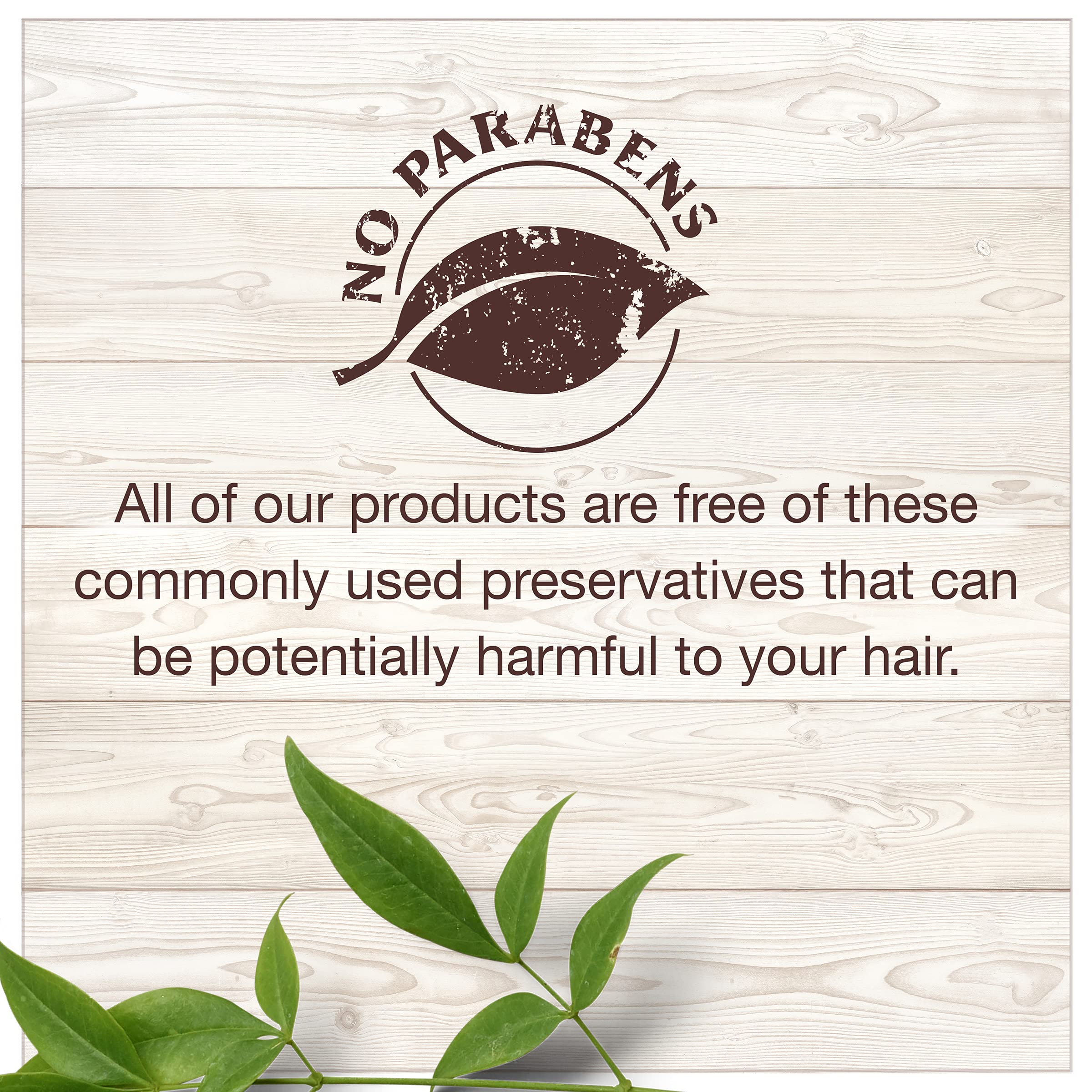 Garnier Whole Blends Nurturing Almond Milk & Agave Extract Conditioner for Normal to Dry Hair - Paraben Free, 12.5 fl oz | Lightweight Moisturizing Hair Care for Daily Use & Damaged Hair Repair