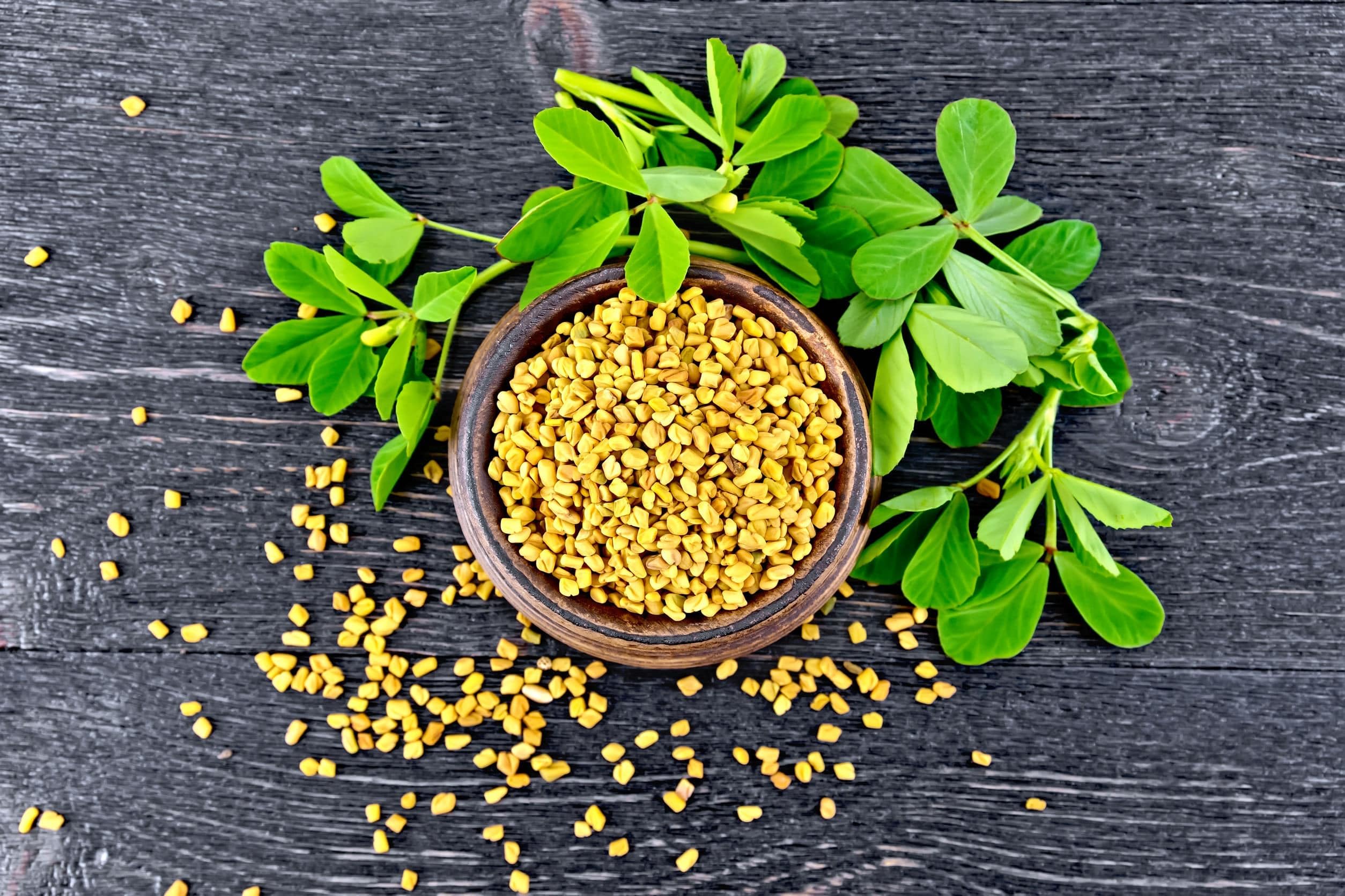 Organic Fenugreek Seeds - Non-GMO, Raw, Whole Methi, Kosher, Vegan, Bulk (20lbs) | Rich in Iron, Copper & Fiber | Perfect for Indian Cooking, Herbal Tea & Natural Remedies