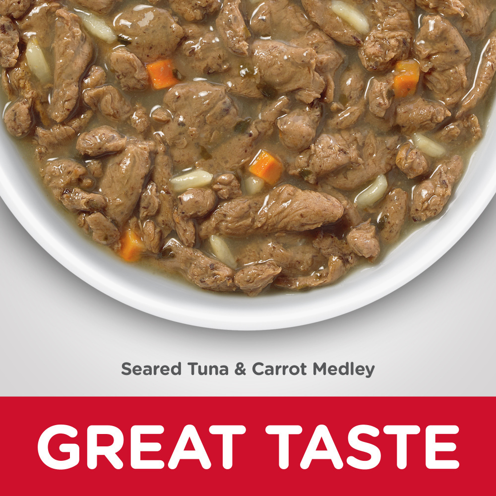 Hill's Science Diet Healthy Senior Cuisine Adult 11+ Seared Tuna & Carrot Medley Canned Cat Food - High Protein Wet Food for Older Cats with Delicious Flavor, Perfect for Mealtime or Special Treats