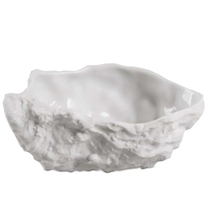 Fresh Oysters on the Half Shell - Premium Live Oysters for Seafood Lovers | Perfect for Romantic Dinners, Seafood Platters & Gourmet Cooking
