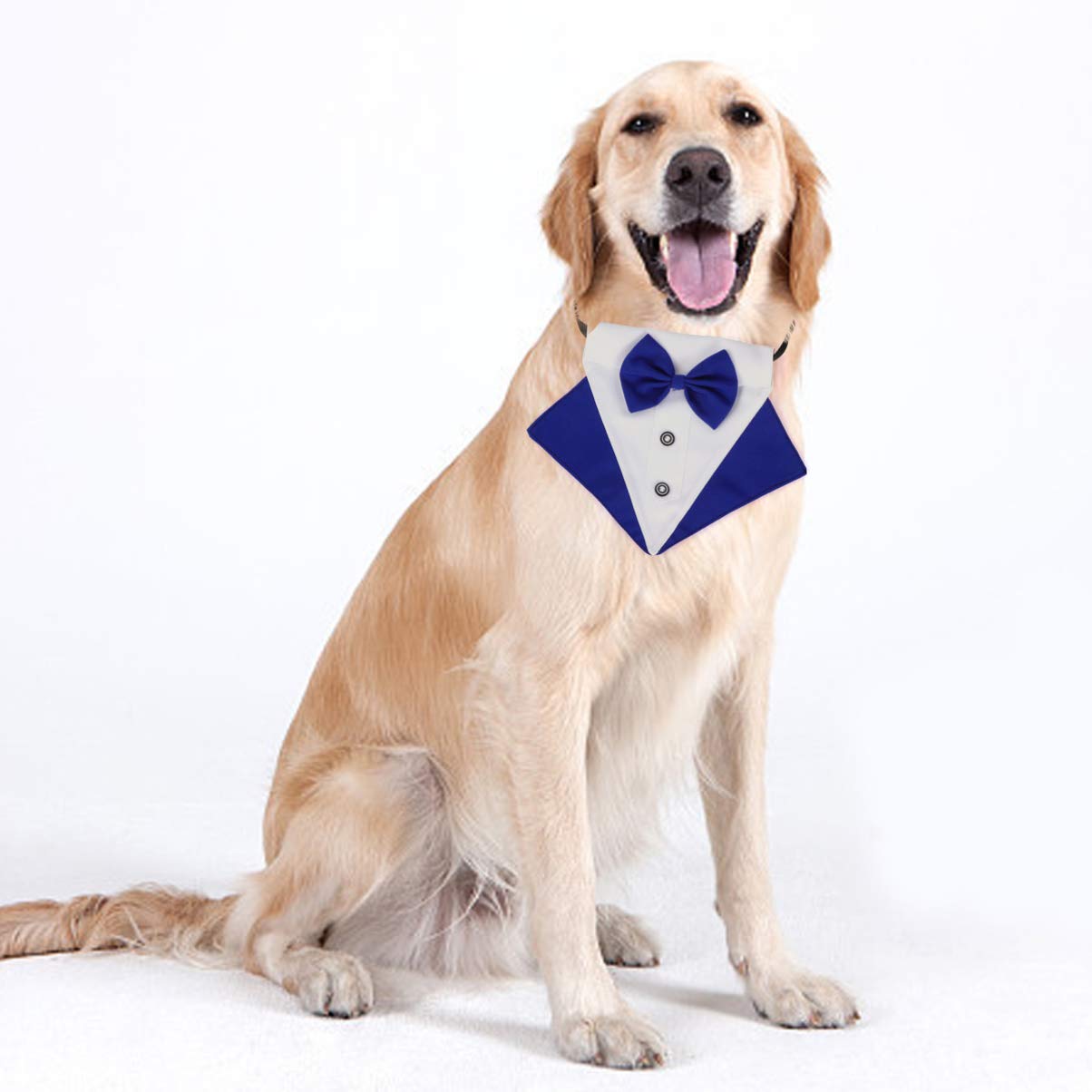 POPETPOP Pet Bow Tie & Tuxedo Collar Set - Dog Wedding Costume Accessory