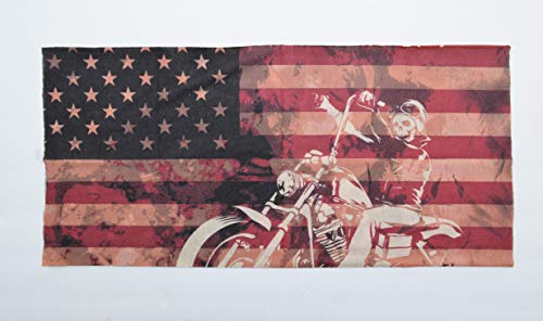 Us Flag Motorcycle S3