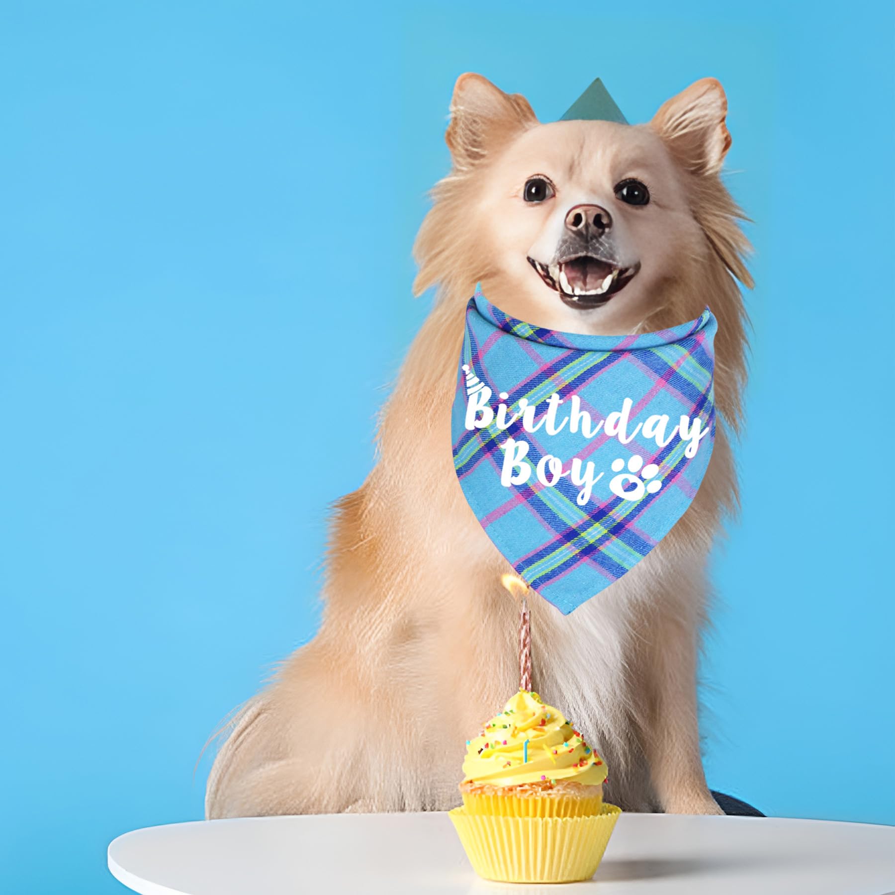 Dog Birthday Bandana for Small Dogs - Adjustable Light Blue Pet Bandana with Multi-Size Options | Perfect for Birthday Parties, Photo Shoots & Special Occasions