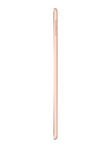 2019 Apple iPad Mini 7.9-inch Wi-Fi 256GB - Gold (Renewed) | Portable Tablet for Work, Study & Entertainment | Compact Design for Travel & On-the-Go Use