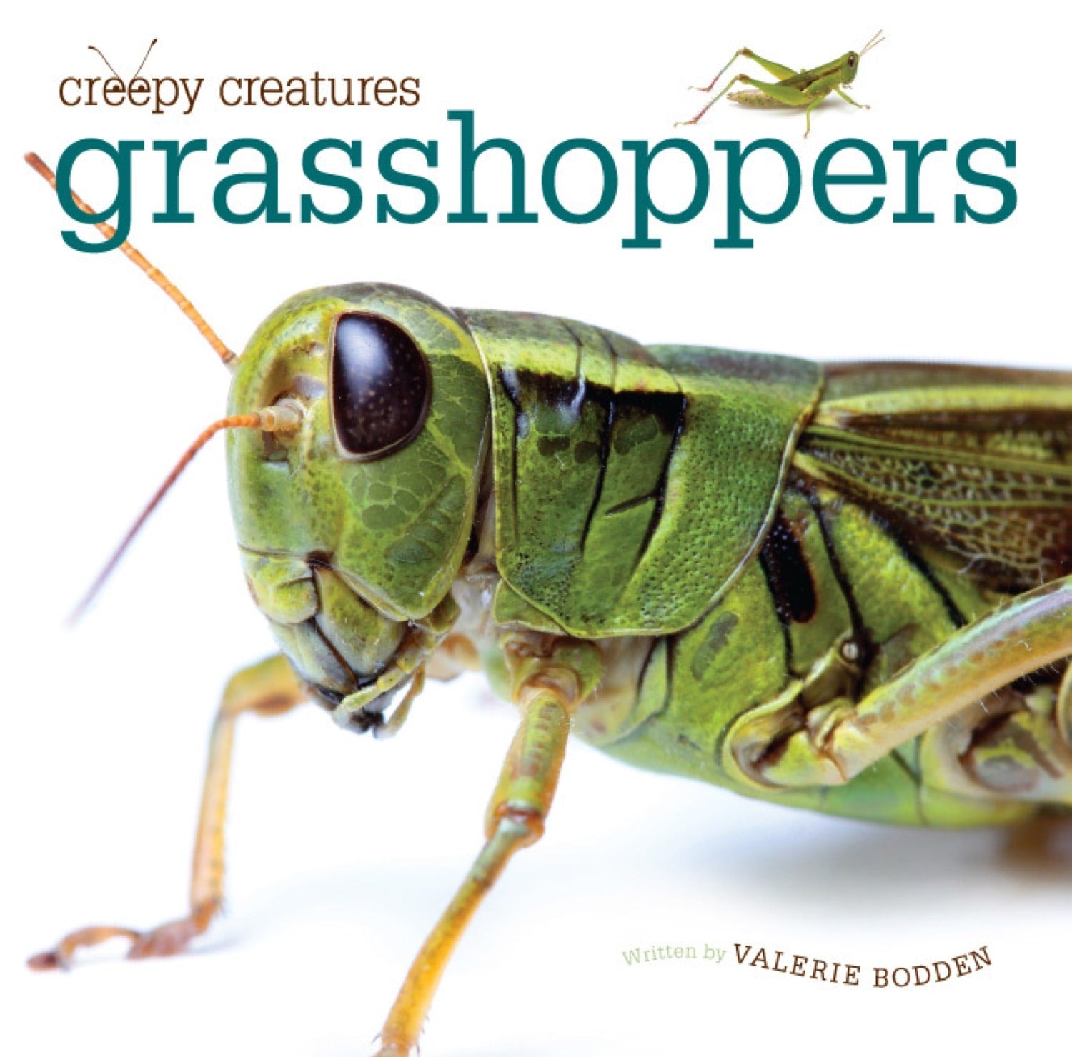 Grasshoppers Book - ISBN 978-1-60818-356-2 | Educational & Nature Study Guide for Kids & Adults | Perfect for Classroom Learning & Outdoor Exploration