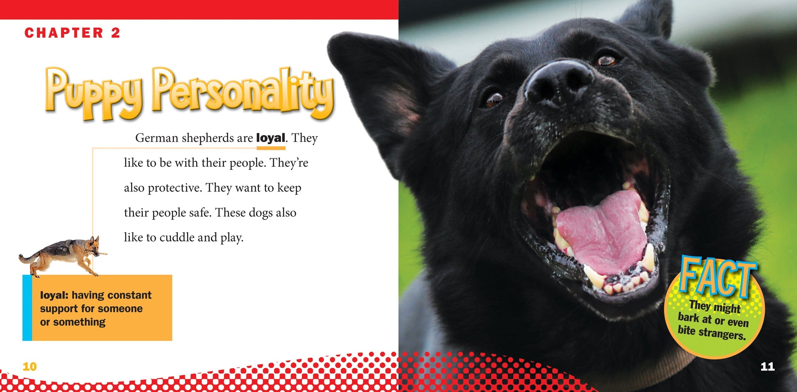 German Shepherd Dog Breed - Loyal & Intelligent Family Pet for Home Protection & Outdoor Adventures