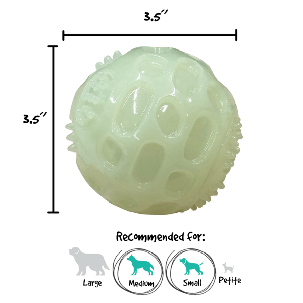 Gnawsome Glow in the Dark Squeaker Ball for Dogs - Chew Resistant Interactive Pet Toy for Nighttime Play & Training - Durable Rubber Ball for Small Medium Large Dogs