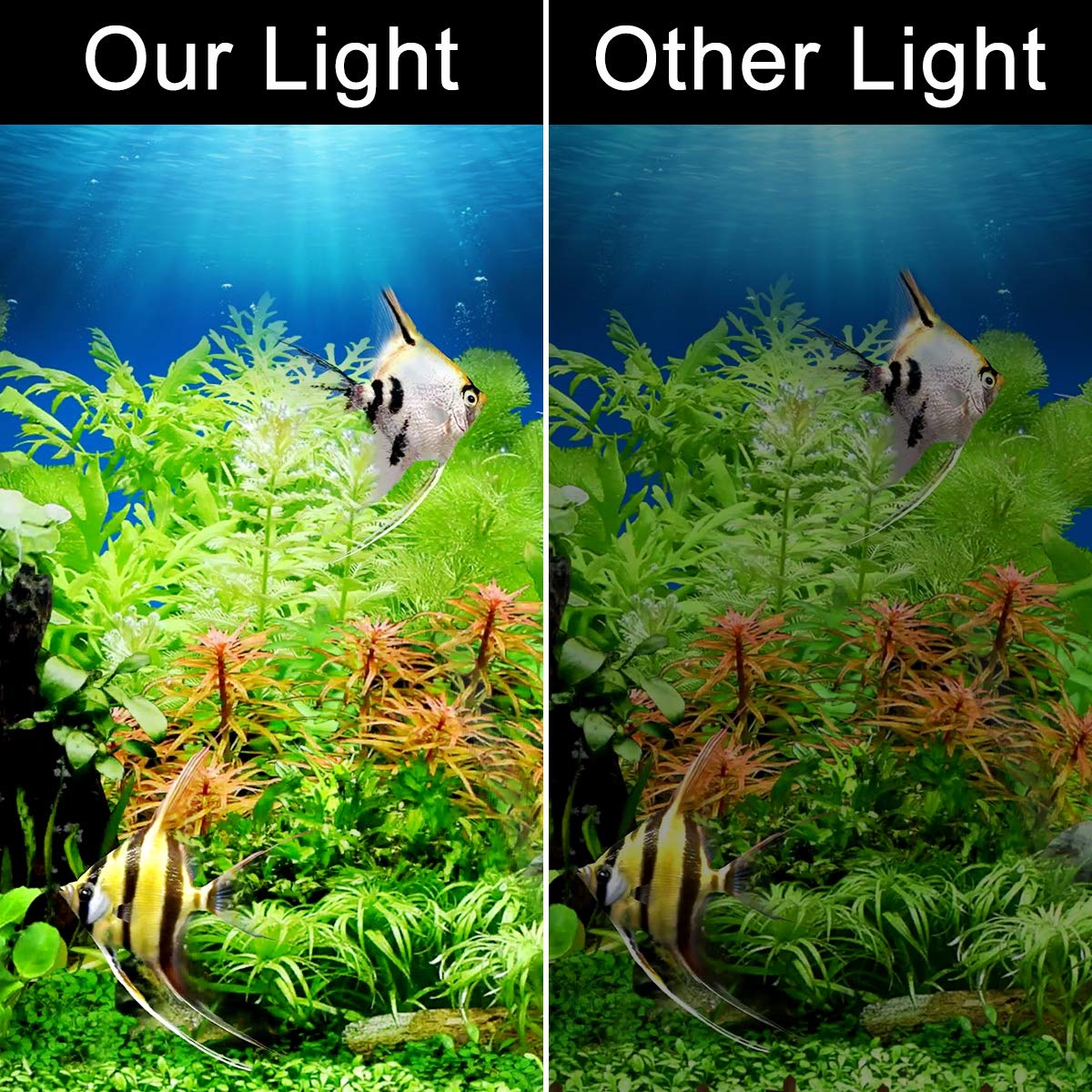 WEAVERBIRD 6W LED Aquarium Light with 12 LEDs for Planted Fish Tanks - Clip-On Lamp Fits 8-15 Inch (6mm Thick) Aquariums | Perfect for Freshwater Plant Growth & Fish Tank Lighting