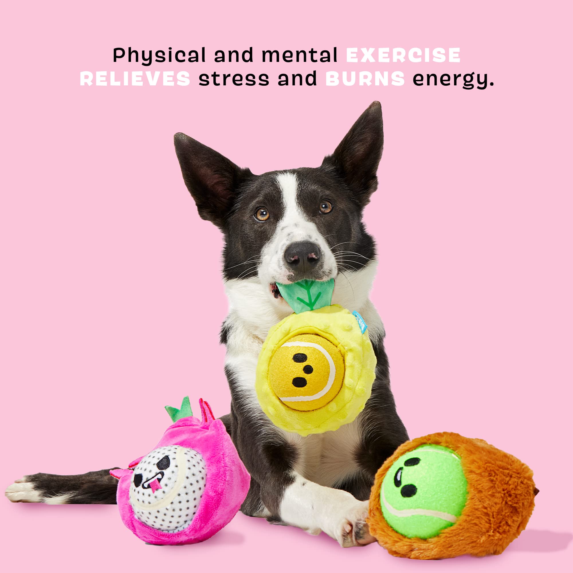 **Barkbox Dog Toys – Fruity Cutie Tropical Trio Squeaker Ball Interactive Chew Toys – Durable & Tough Tennis Balls for Training, Exercise & Boredom Relief – Stimulating Plush Toys for Large Breed Dogs – Perfect for Playtime, Fetch & Mental Stimulation**