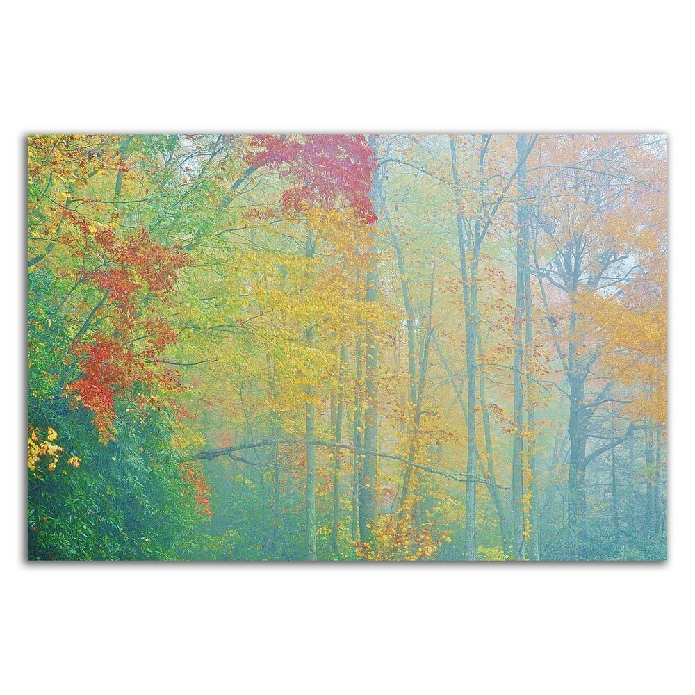 Autumn's Palette by Steve Vaughn - Premium Canvas Wall Art Print, Ready to Hang - Perfect for Living Room, Bedroom & Office Decor