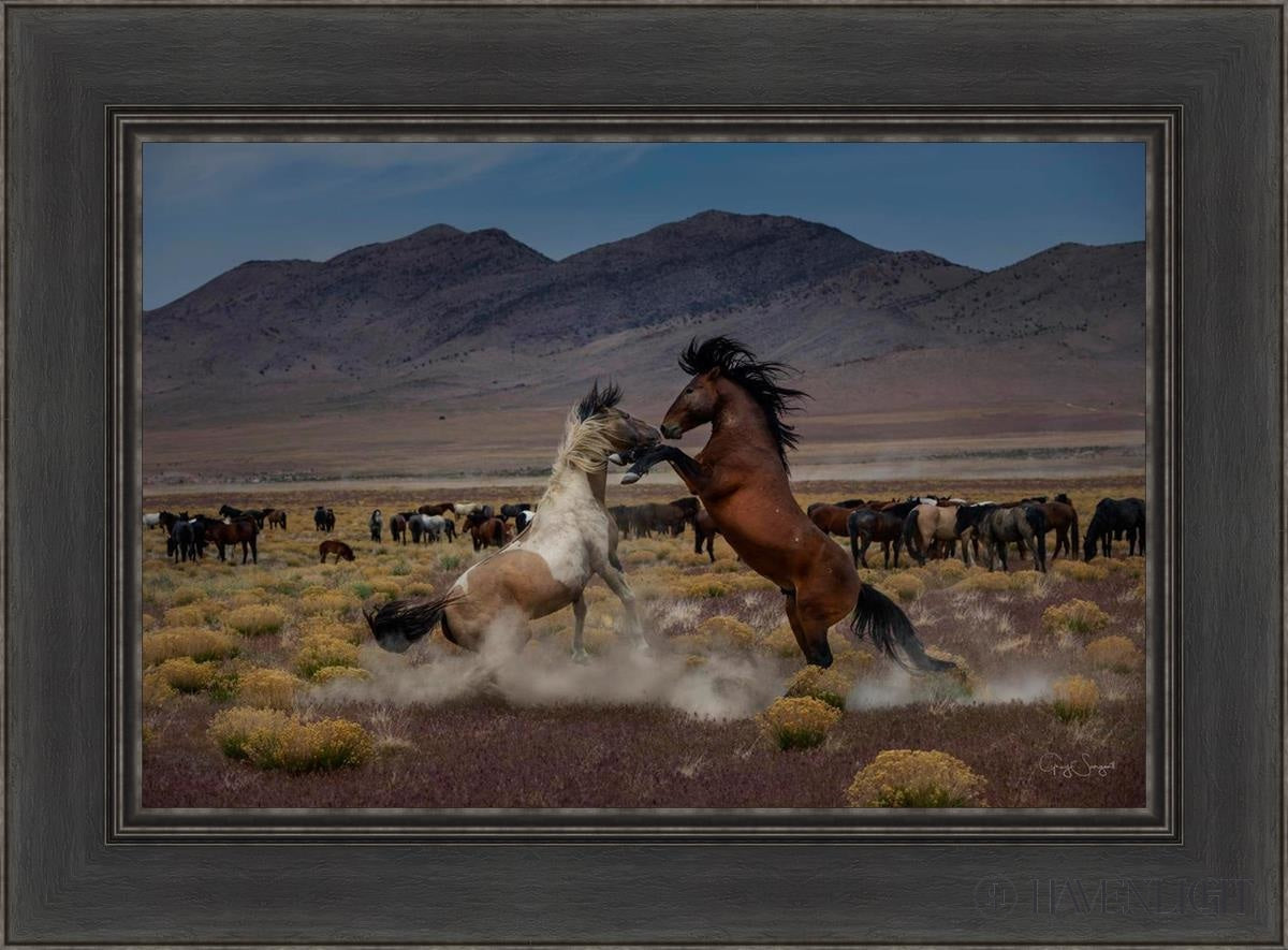Desert Duel 5 by Greg Sargent - Western Action Novel - Perfect for Book Clubs & Cowboy Adventure Fans