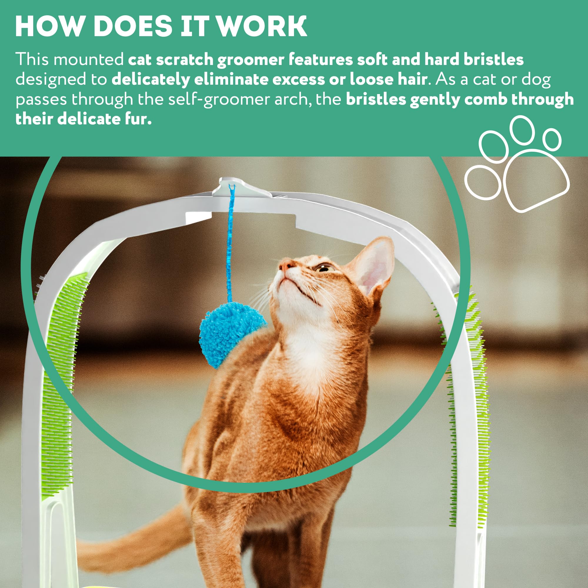 12.5 Inch Cat Arch Self Groomer - Cat Scratcher Toy & Grooming Brush for Indoor Cats - Durable Cat Rubbing Post & Back Scratcher - Perfect for Playtime, Grooming & Stress Relief at Home