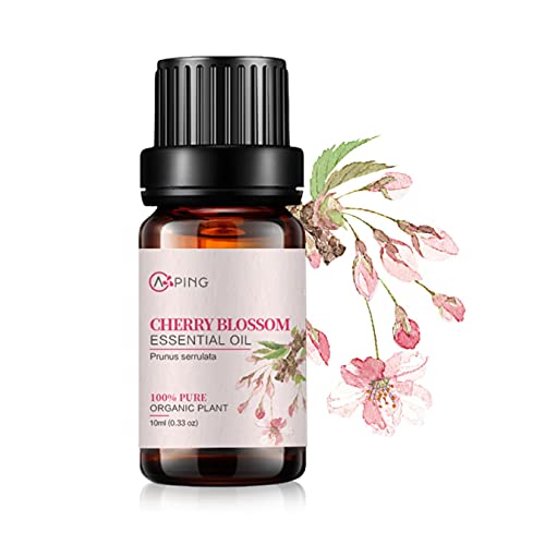 Cherry Blossom